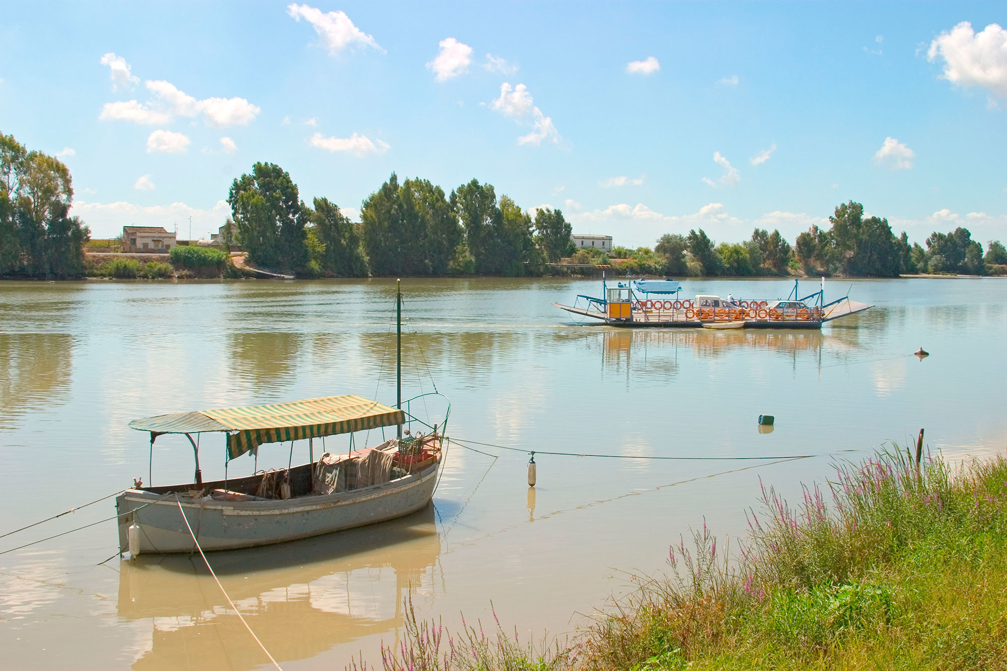 Psicólogos en Coria del Río