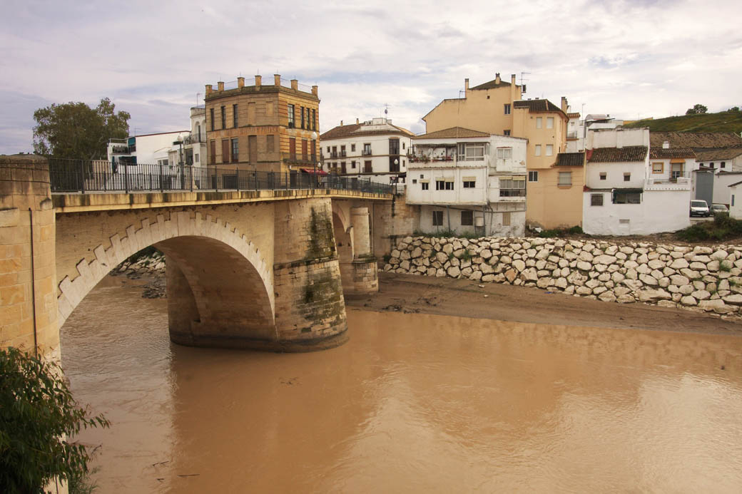 Psicólogos en Puente Genil