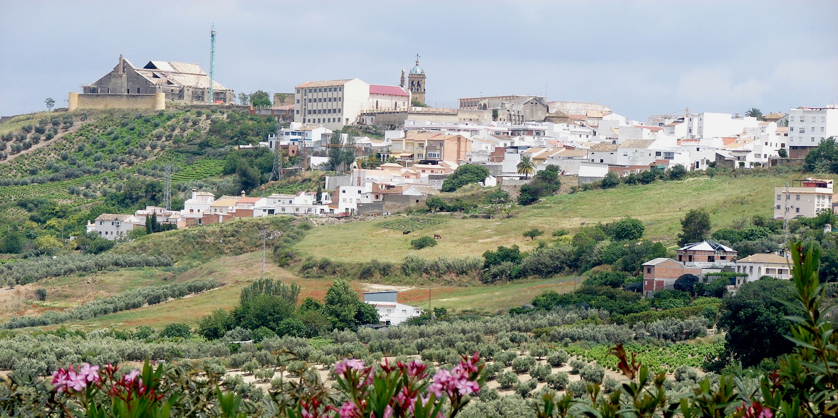 Psicólogos en Montilla