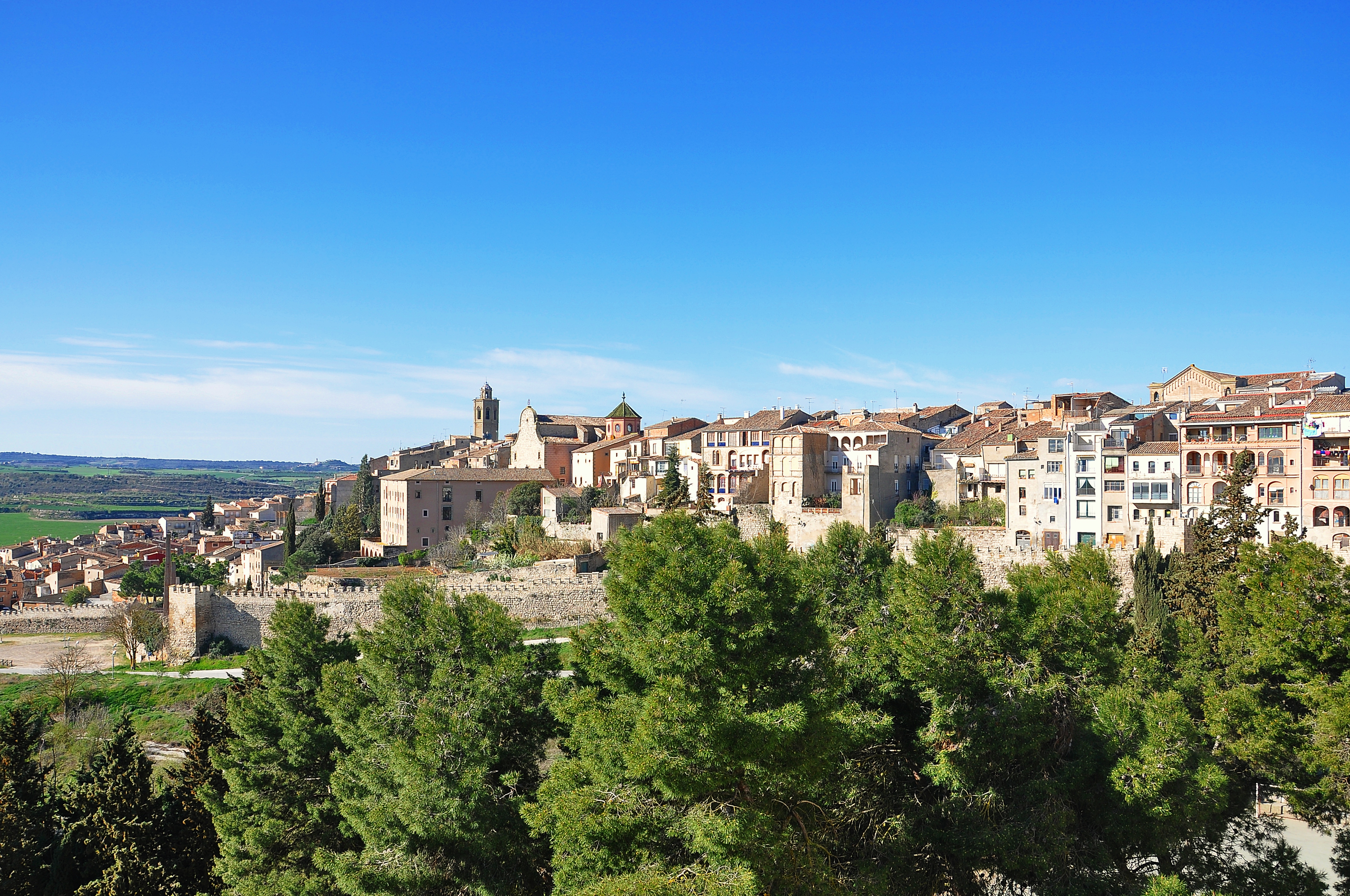 Psicólogos en Cervera