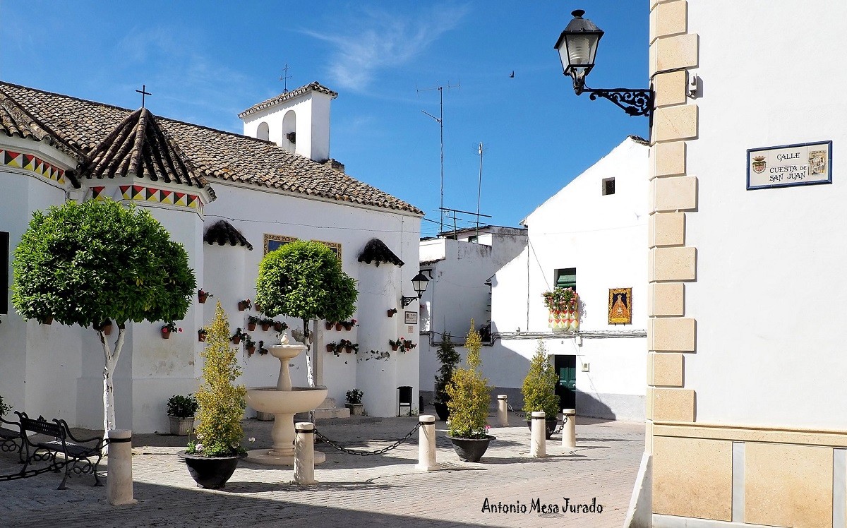 Psicólogos en Cabra (Córdoba)