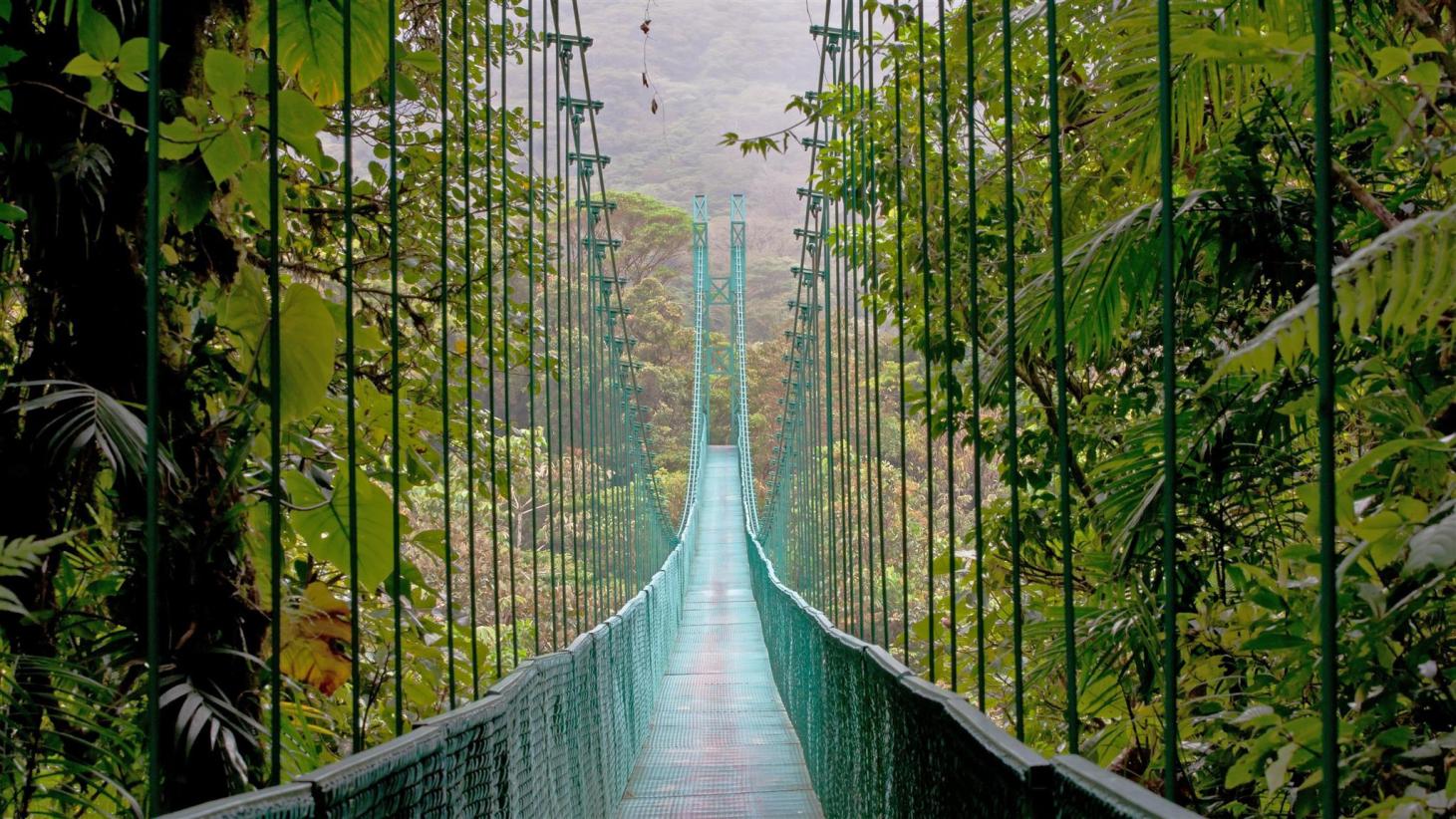 Psicólogos en Monteverde
