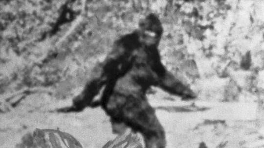 Criptozoología