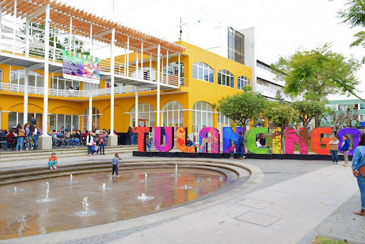 Psicólogos en Tulancingo