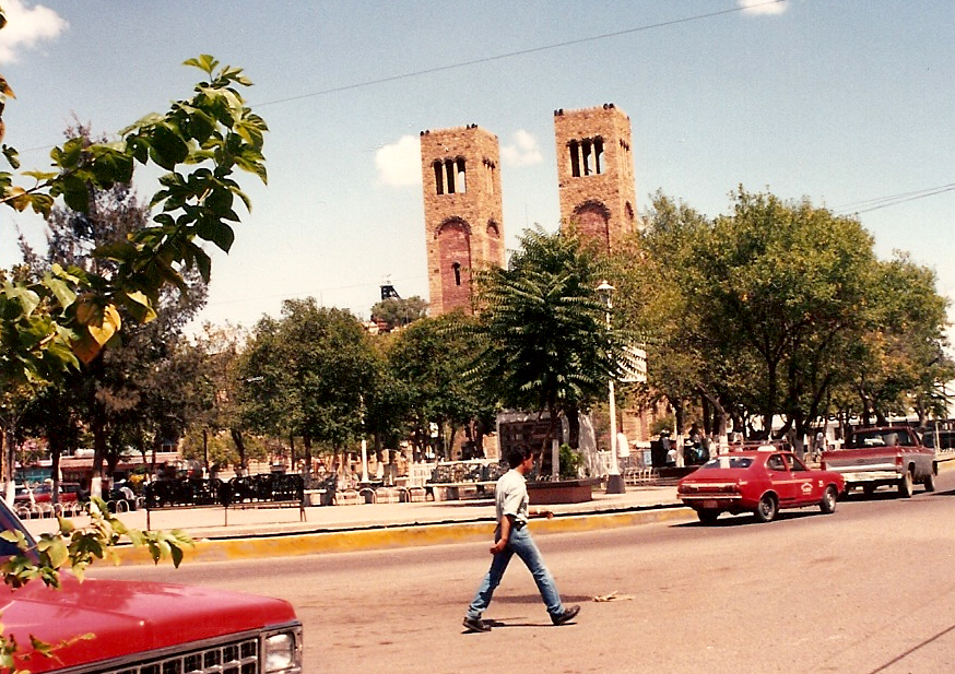 Psicólogos en Hidalgo del Parral