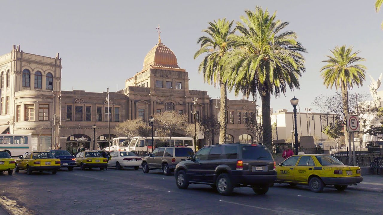 Psicólogos en Ramos Arizpe (México)