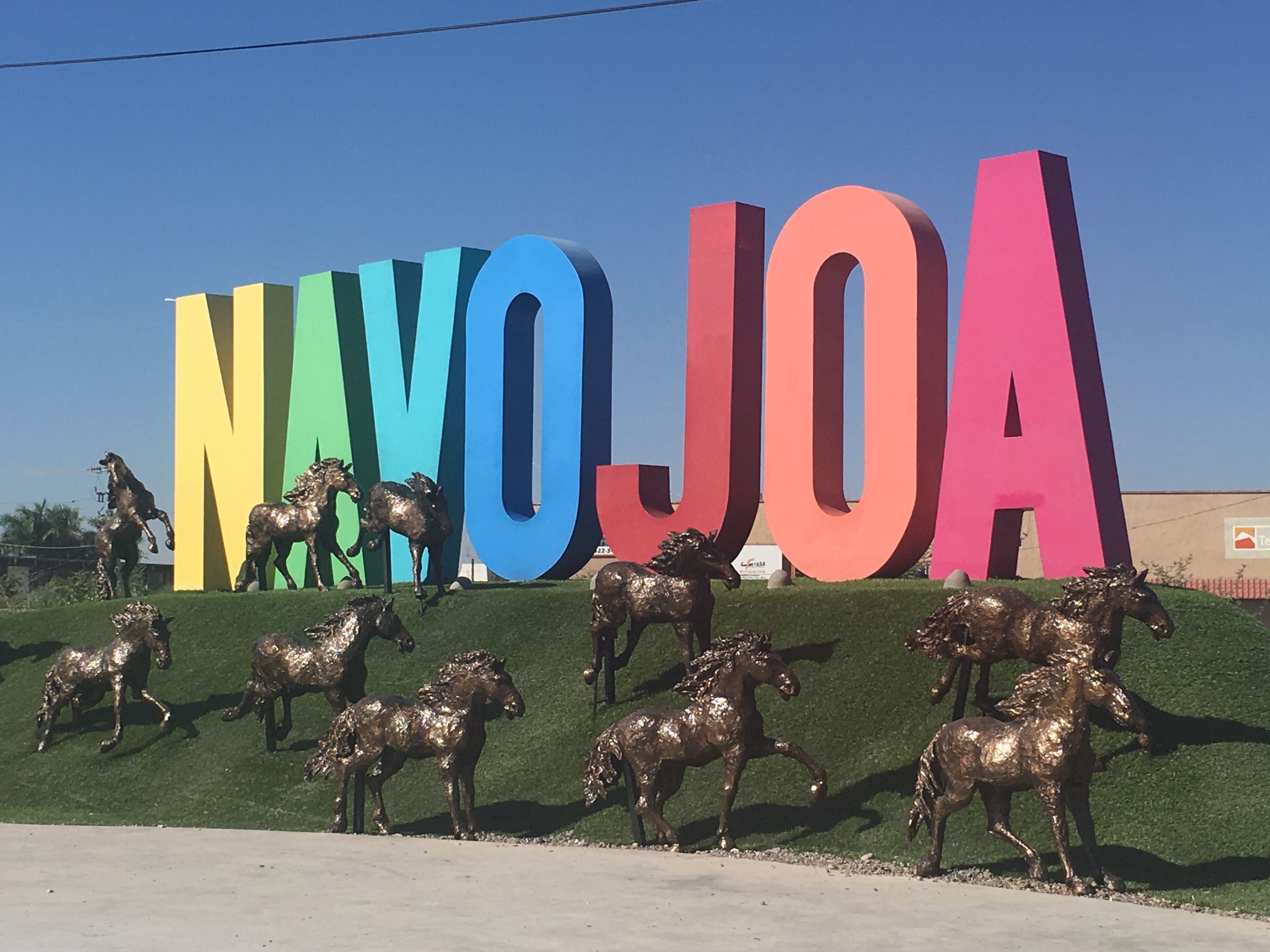 Psicólogos en Navojoa