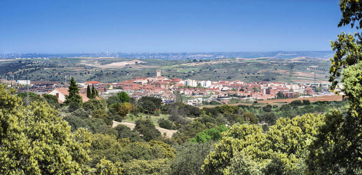 Psicólogos en San Agustín del Guadalix