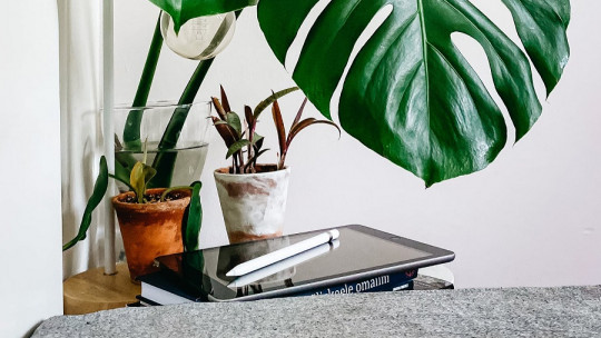 ¿Es malo dormir con plantas en la habitación?