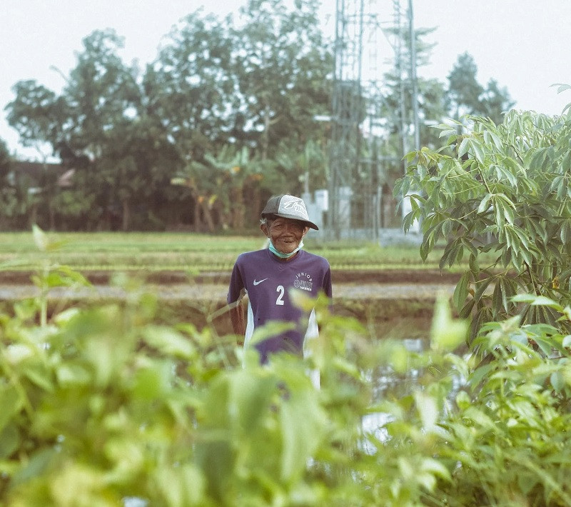 Tipos de agricultura de subsistencia