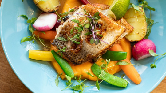 Proteínas de alto valor biológico