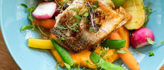 Proteínas de alto valor biológico