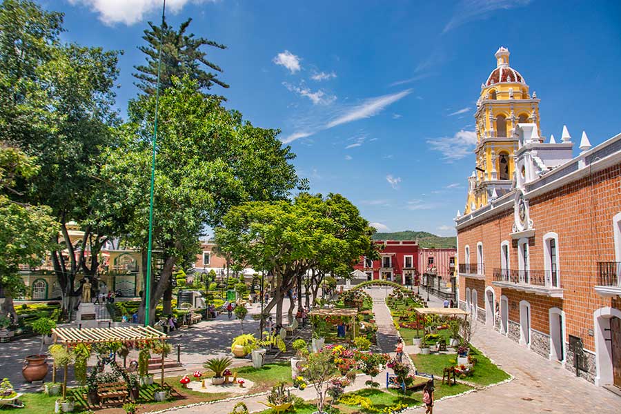 Psicólogos en Atlixco