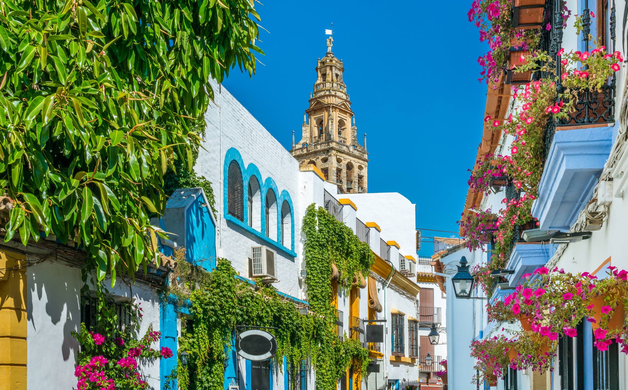 Sexólogos en Córdoba