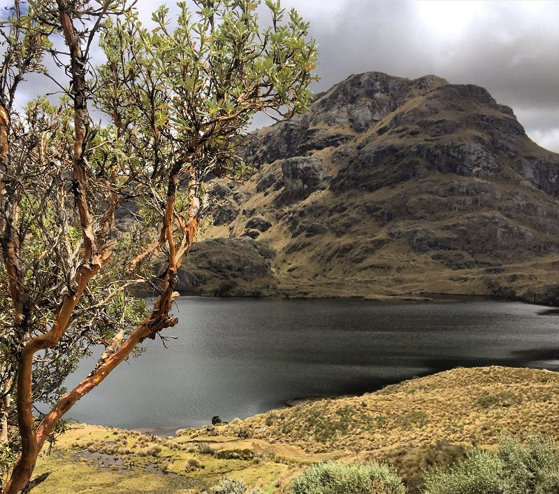 Historias de ecuador
