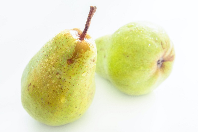 Pomáceas