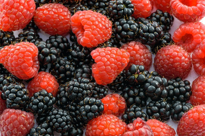 Frutas del bosque