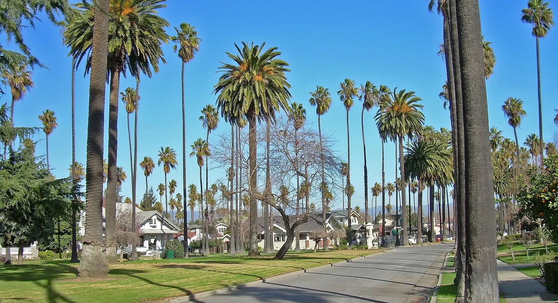 Psicólogos Deportivos en San José (California)