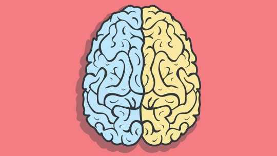 Qué pasa cuando se lesiona el hemisferio izquierdo del cerebro