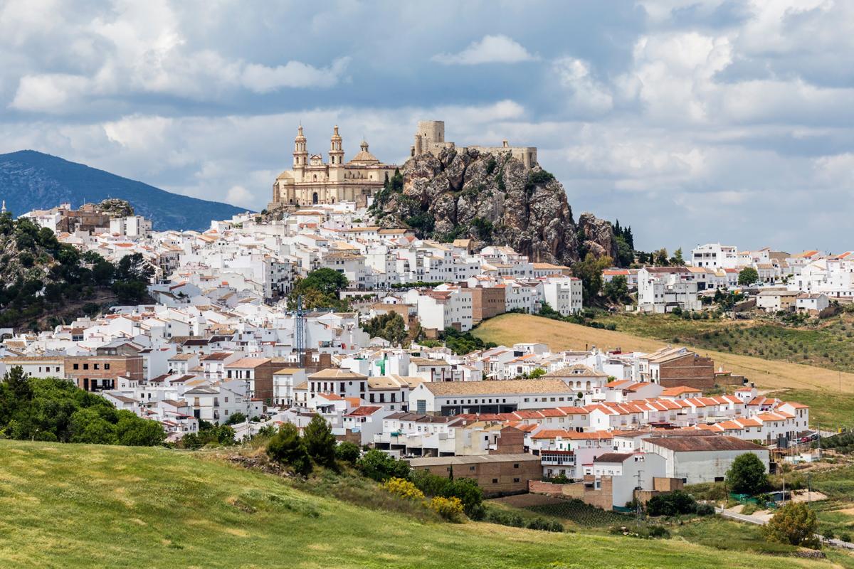 Psicólogos en Andalucía