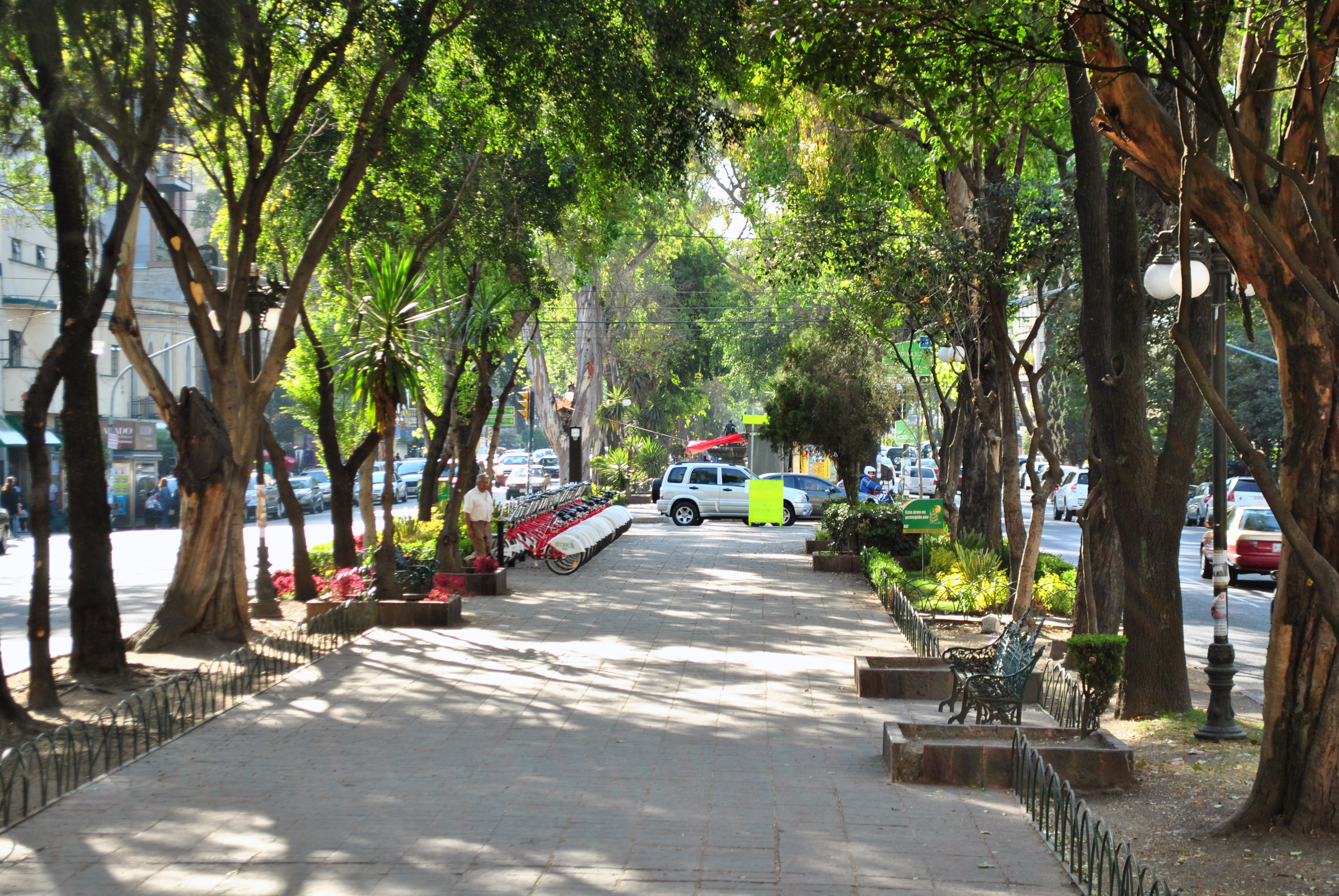 Psicólogos en Álvaro Obregón (Ciudad de México)