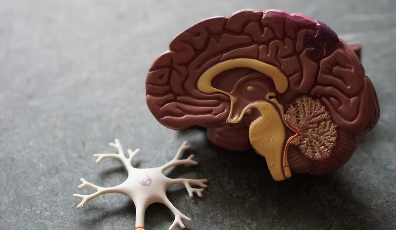 Curiosidades de la medicina psiquiátrica