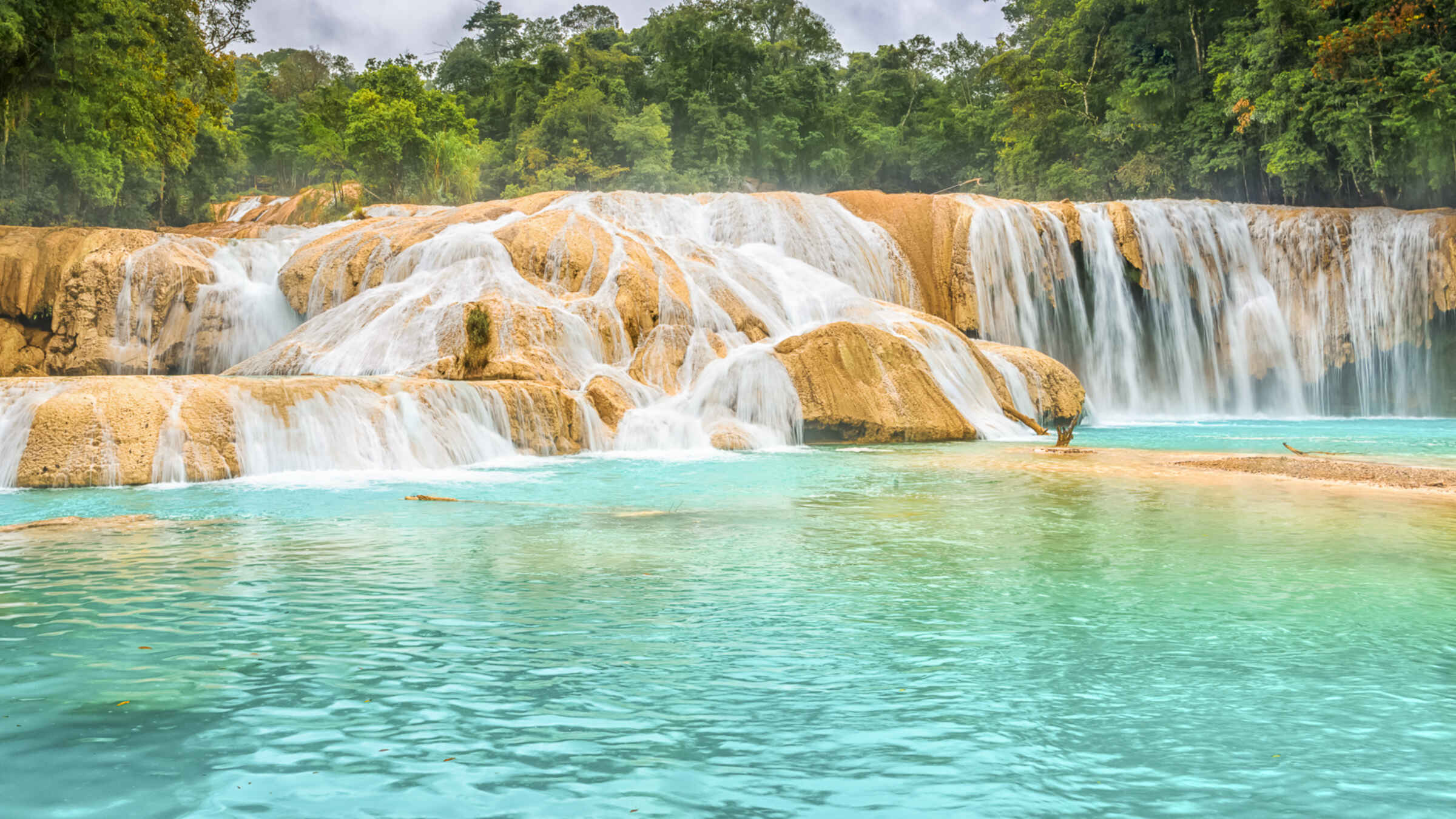 Psicólogos en Chiapas