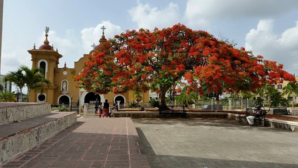 Psicólogos en San Cristóbal (República Dominicana)