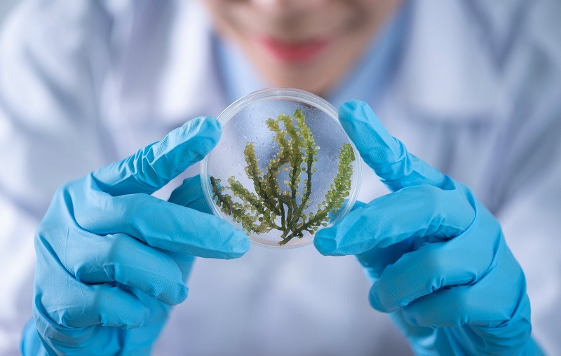 Reflexiones sobre la ciencia