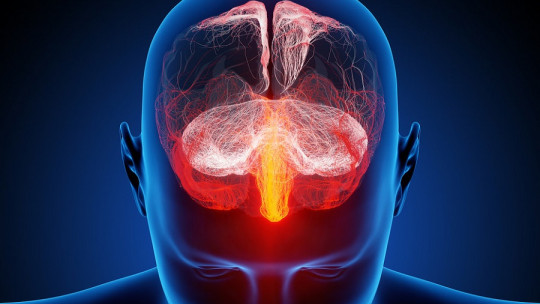 Neuroderechos