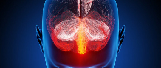 Neuroderechos