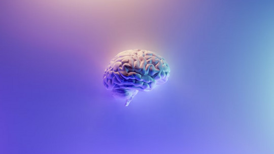 Cuáles son las partes del cerebro asociadas al sueño