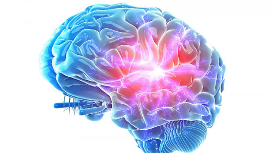La psicoterapia influye en el cerebro humano