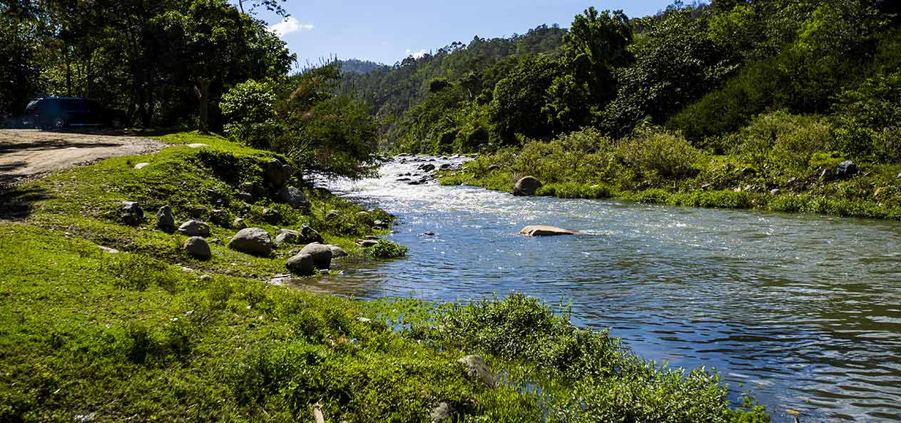 Psicólogos en Jarabacoa