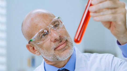 Las ramas de la química