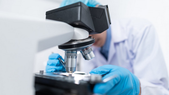 Tipos de microscopio