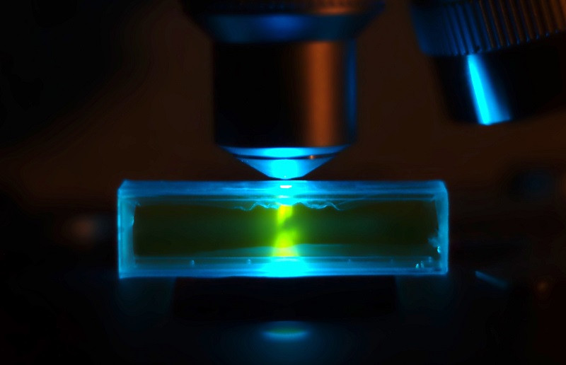 Microscopio de fluorescencia