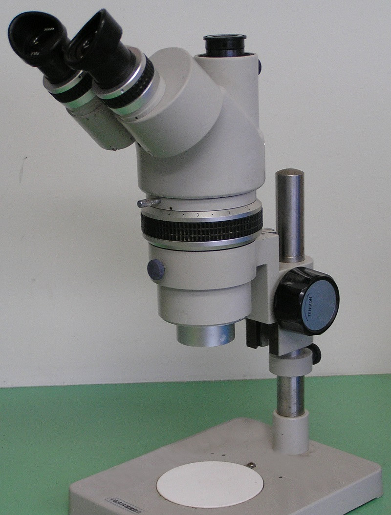 Microscopio estereoscópico
