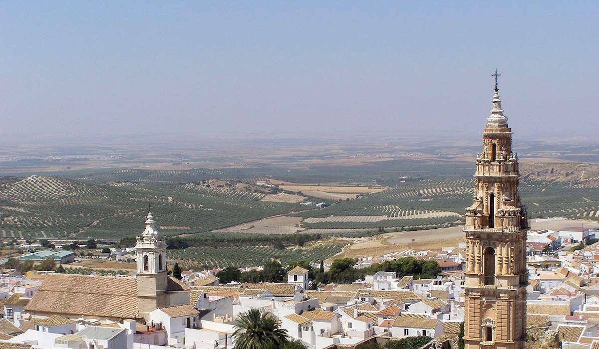 Psicólogos en Estepa