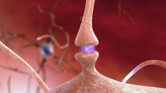 Poda neuronal
