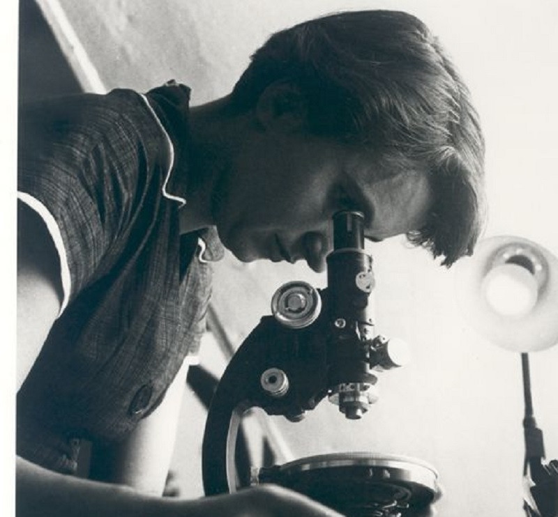 Biografía de Rosalind Franklin