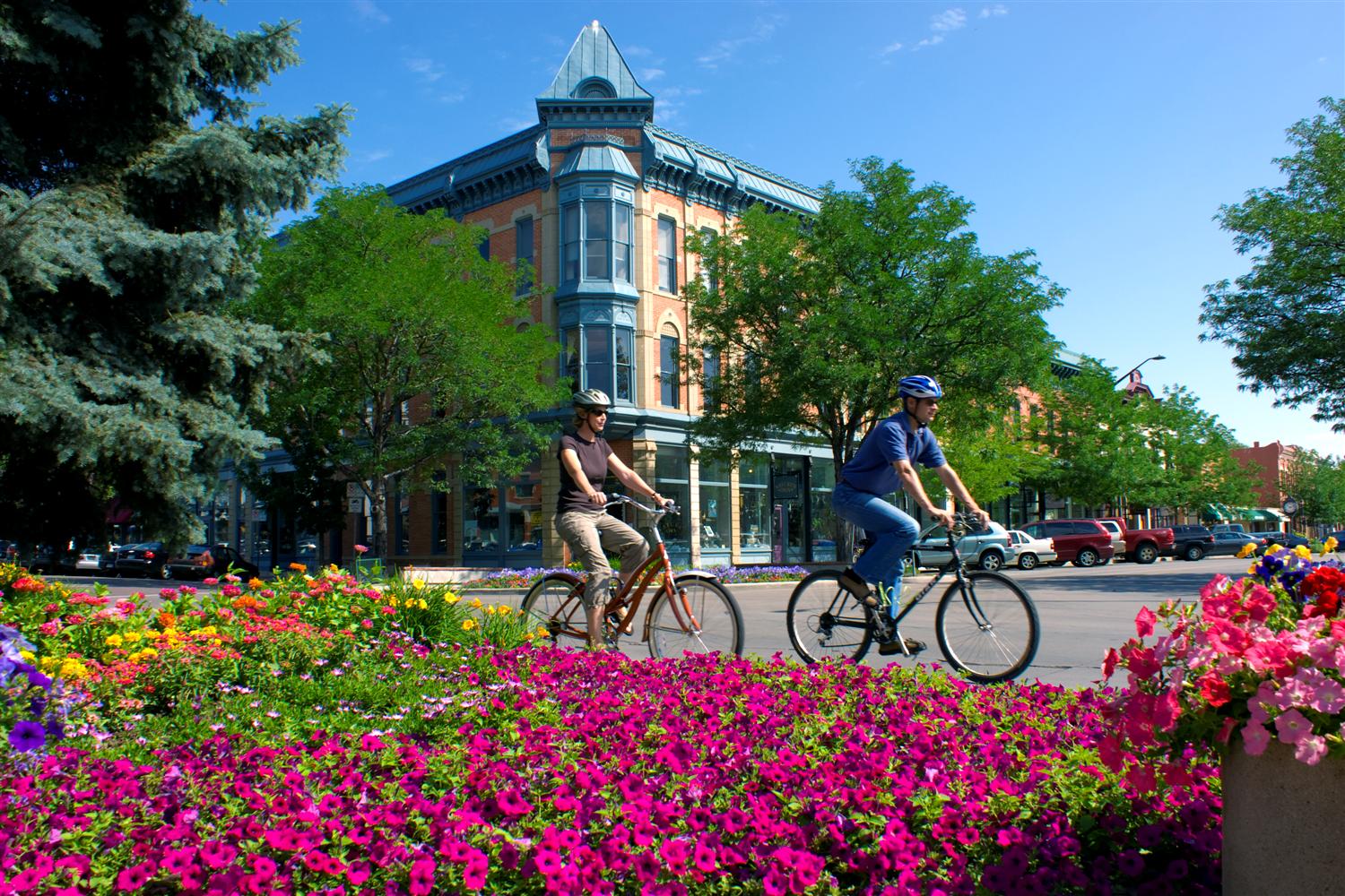 Psicólogos en Fort Collins (Colorado)
