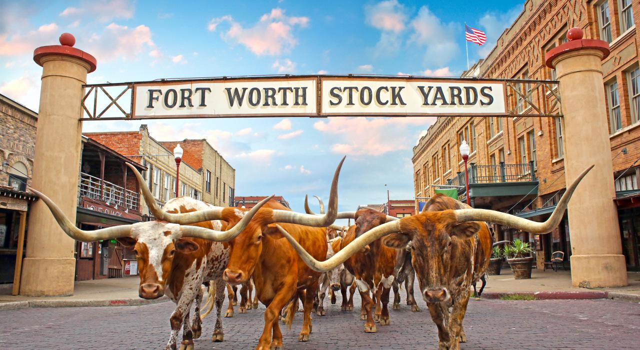 Life Coach en Fort Worth (Texas)