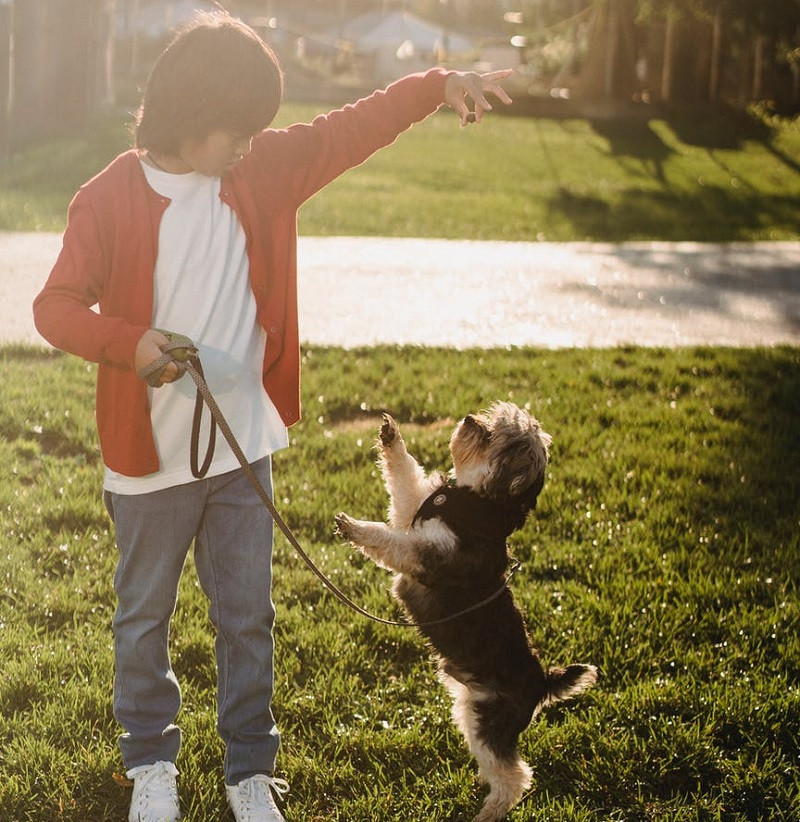 Beneficios de las mascotas en niños con TEA