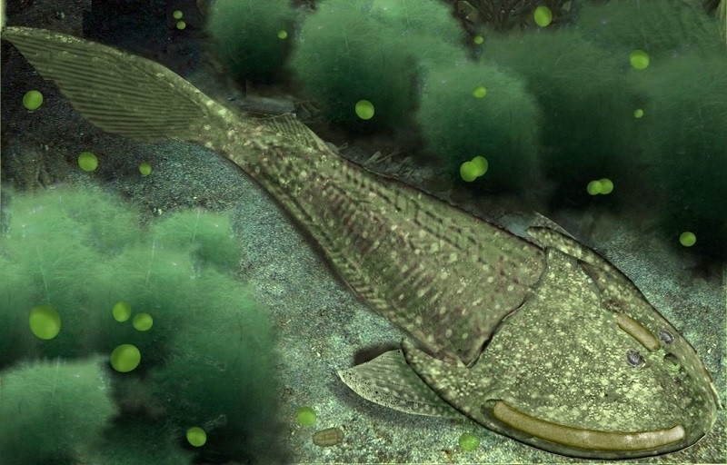 Paleozoico