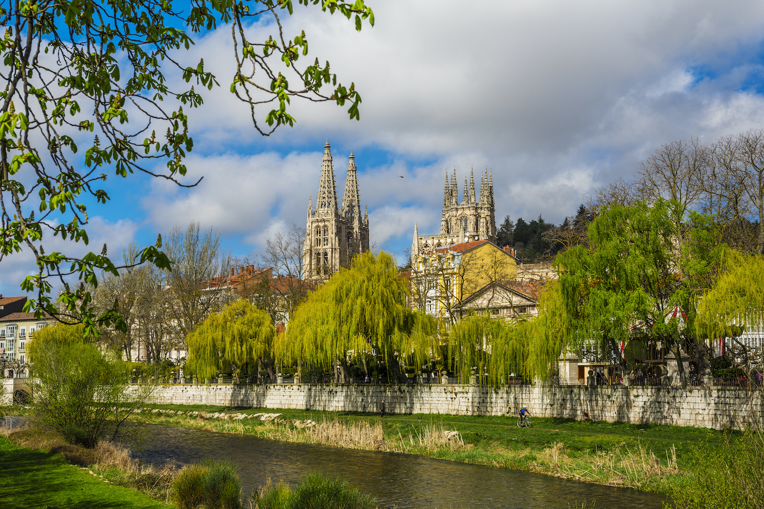 Psicólogos infantiles en Burgos