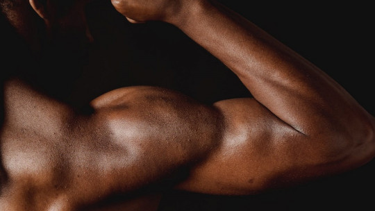 Músculos del brazo