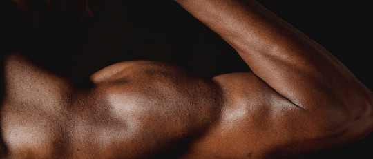 Músculos del brazo