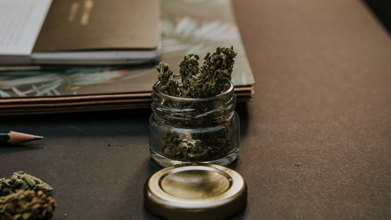 Efectos del cannabis en el cuerpo