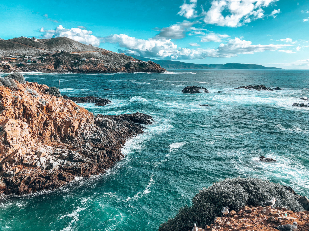 Psicólogos expertos en Terapia de Pareja en Ensenada